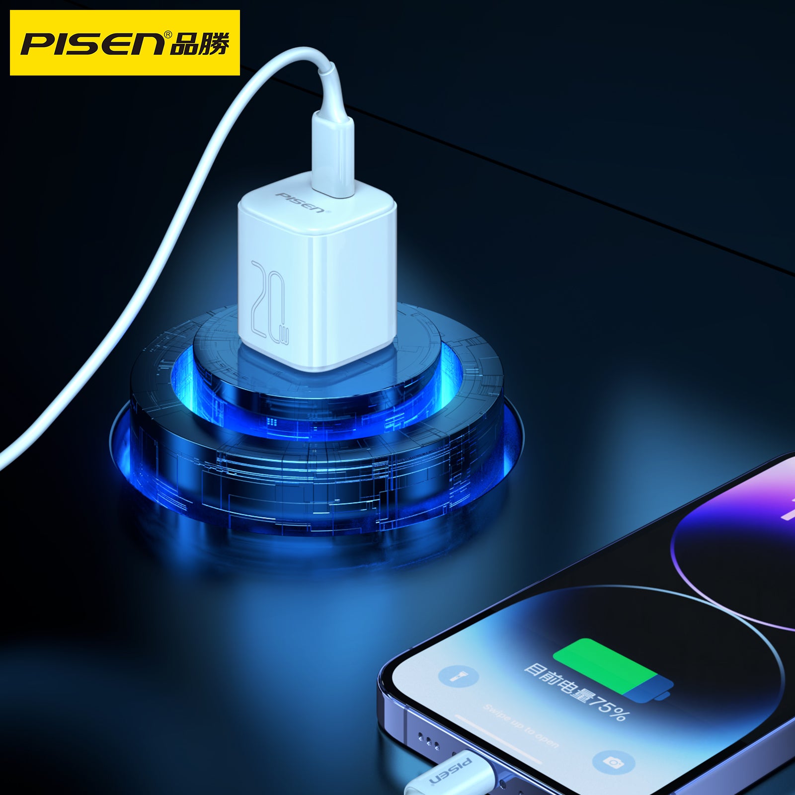 PISEN-PD20W充電器セットTS-C165（948790）