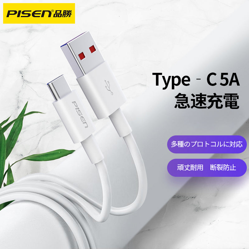 PISEN-A to C 5A急速充電ケーブル1m (87946)