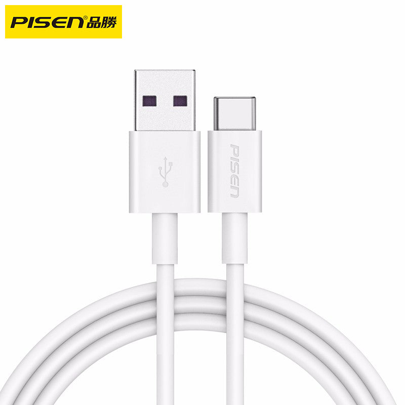 PISEN-A to C 5A急速充電ケーブル1m (87946)